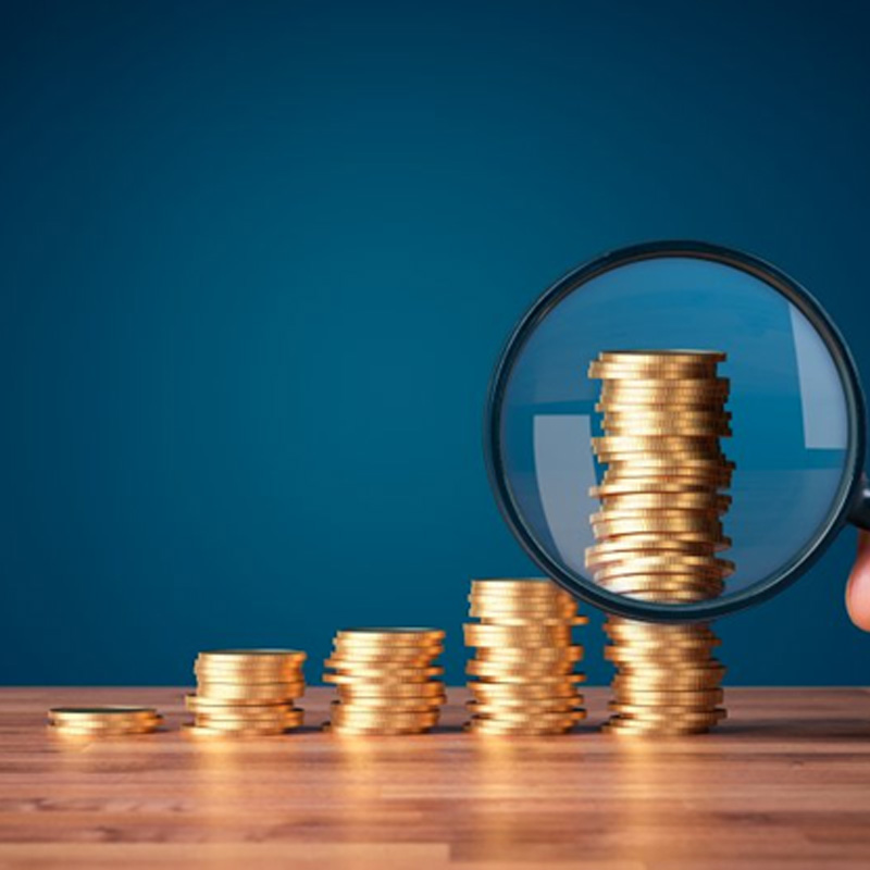 Stacks of coins are examined with magnifying glass